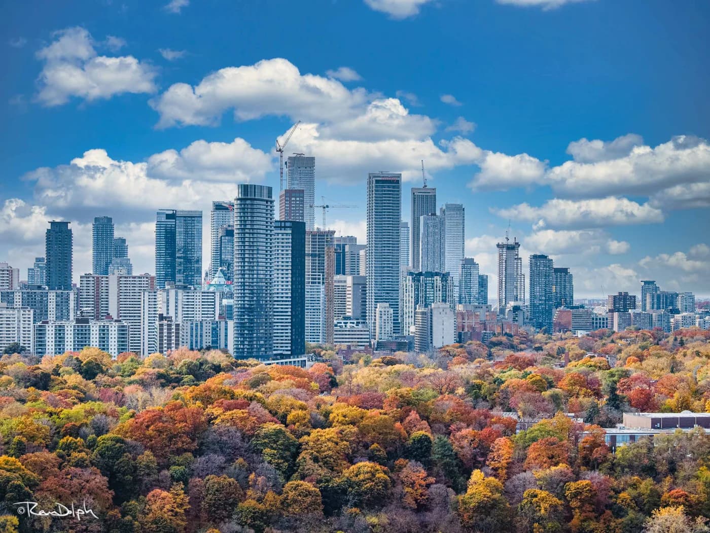 Toronto buildings above autumn trees under a blue sky